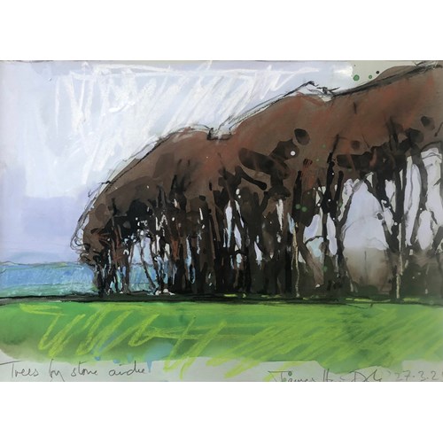 Secret wood, Dorset 2024